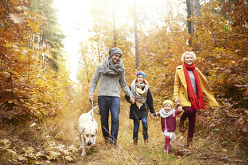 Family of four people walking a dog in forest
