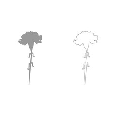 Carnation  grey set  icon .