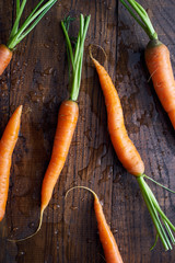 Healthy raw organic carrot in plate on wooden table top view 