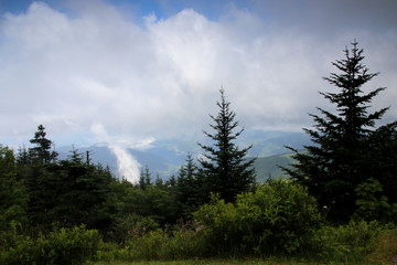 Blick über den Great Smokeys Nationalpark