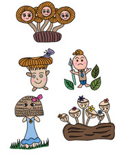 Drawing Mushroom Collection on White Background
