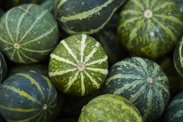 gourds and pumpkins
