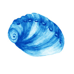 Fototapeta na wymiar Illustrations of blue sea shells. Marine design. Hand drawn watercolor painting on white background.