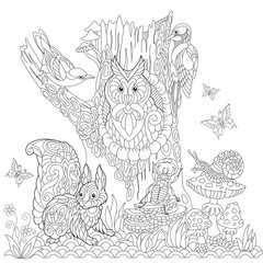 Coloring book page of forest landscape, owl, cuckoo bird, woodpecker, squirrel, snail, stag beetle, butterflies. Freehand drawing for adult antistress colouring with doodle and zentangle elements.