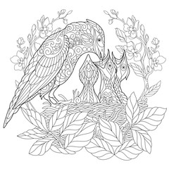 Coloring book page of jay bird feeding its newborn nestlings. Freehand sketch drawing for adult antistress colouring with doodle and zentangle elements.