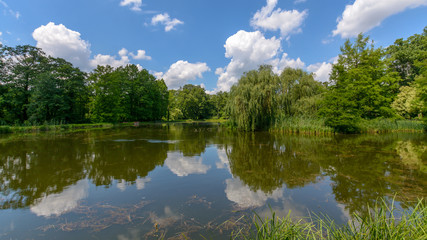 Fototapeta na wymiar Clouds Reflected in a Polish Summer Lake