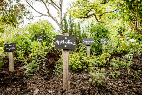 Kr&auml;utergarten