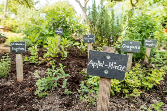 Kr&auml;utergarten