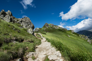 mountain landscape