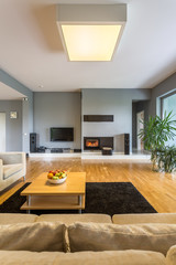 Modern and spacious living room