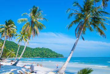 Tropical paradise beach with palm (coconut) tree in Phu Quoc island, Vietnam.