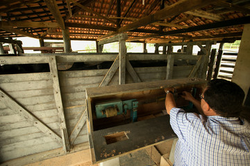 Fazenda de gado