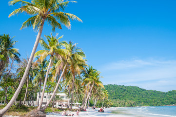 Fototapeta na wymiar Tropical paradise beach with palm (coconut) tree in Phu Quoc island, Vietnam.