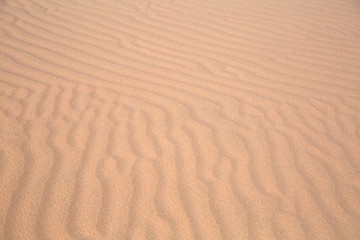 Sand Dune texture background