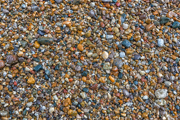 Wet  beach pebbles