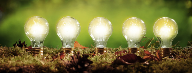 Panorama banner with five glowing light bulbs