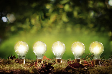 Five glowing eco friendly efficient light bulbs
