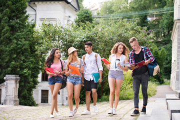 Group of attractive teenage students walking to university.