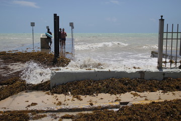 Olas golpeando la costa en Key West, Florida