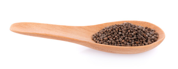 Perilla herb seed on white background