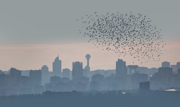 Silhouette of Ankara - Ankara is the capital city of Turkey