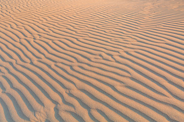 Sand Dune texture background