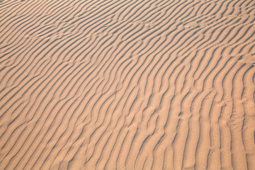 Sand Dune texture background