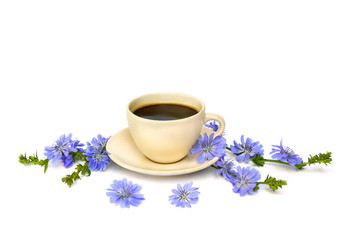 Obraz na płótnie Canvas Cup of drink with chicory and flowers chicory (Cichorium intybus) on a white background