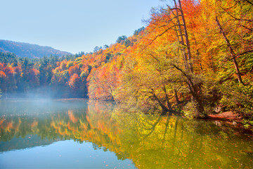 Autumn landscape in (seven lakes) Yedigoller Park Bolu, Turkey