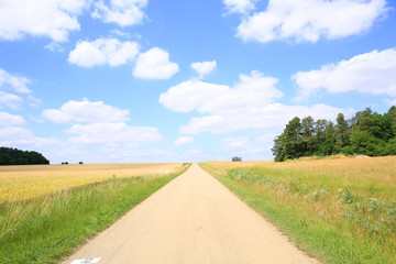 Rural road in Champagne, France