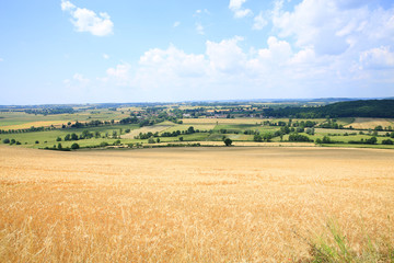 Fototapeta na wymiar Beautiful landscape in Burgundy, France