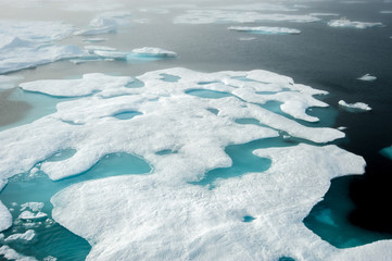 Pack ice in the Arctic
