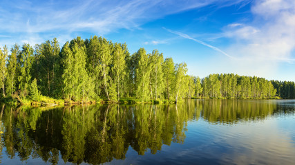летний пейзаж на берегу реки Иртыш с лесом, Россия, Урал © 7ynp100