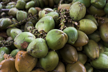 Closeup of green coconuts For Sell on Street in Coorg, Karnataka, India