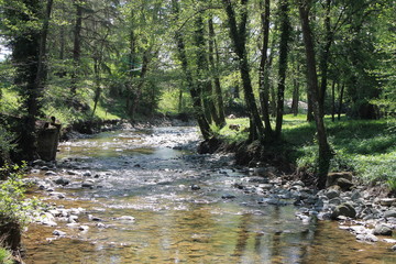 Naklejka premium Fluss