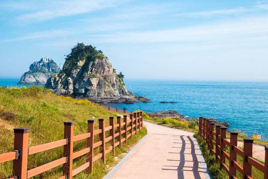 Coastal walks, Oryukdo islands In the spring in Busan, Korea