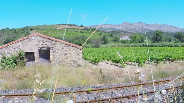 POV. point view of vineyard farm in South of Frence.