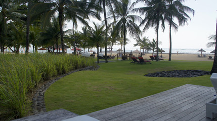 Herbe en bord de plage à Bali en Indonésie