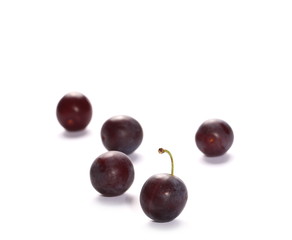 Wild plums with leaves and twigs, ringlov, isolated on white background
