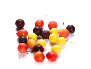 Wild plums with leaves and twigs, ringlov, isolated on white background
