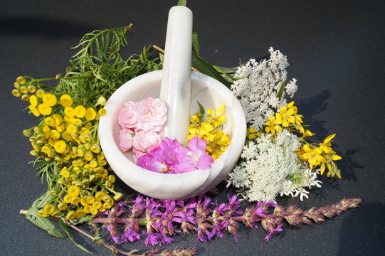 Alternative Medizin mit Heilkr&auml;utern aus der Natur