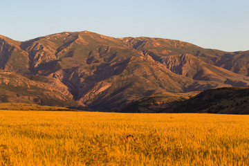 Fototapeta na wymiar Beautiful mountains of the Tien Shan range in Kazakhstan