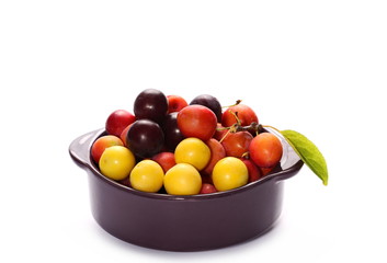 Wild plums with leaves and twigs, ringlov, in porcelain bowl isolated on white background