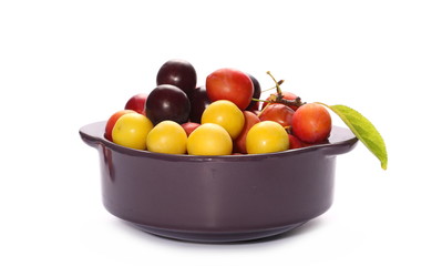 Wild plums with leaves and twigs, ringlov, in porcelain bowl isolated on white background