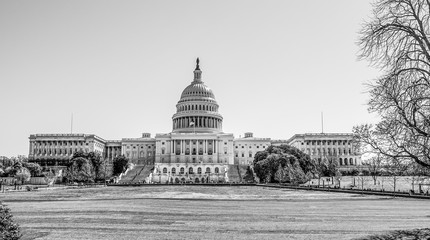 Fototapeta premium The Capitol in Washington