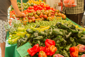 Farmer's market produce for sale at stand. Color, horizontal photo of heirloom tomatoes, peppers, brussel sprouts, squash. Woman's hand on left holding a tomato, man reaching for tomatoes on right.