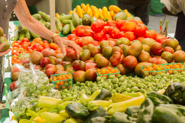 Farmer's market produce stand with woman's hand reaching for an heirloom tomato. Horizontal photo includes cherry tomatoes, brussel sprouts, zucchini, squashes, gypsy peppers and bell peppers