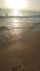 Sea foot