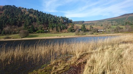 landscape in Ireland