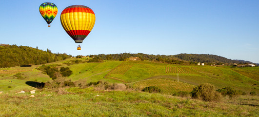 Hot air balloons over Napa Valley vineyards at sunrise with blue sky